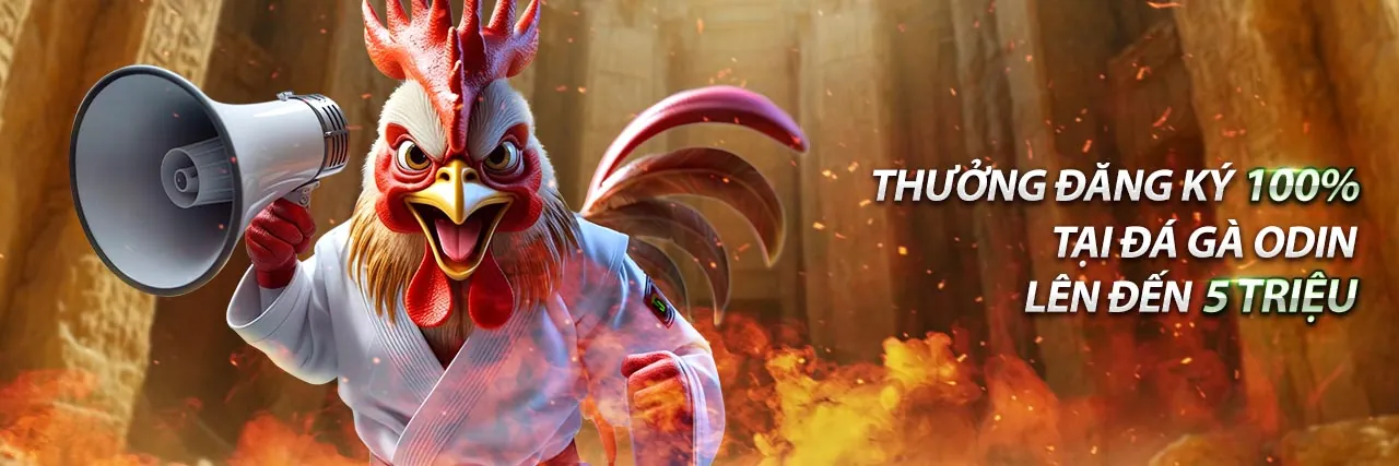 Chính sách bảo mật EV99 - Bảo vệ dữ liệu người chơi